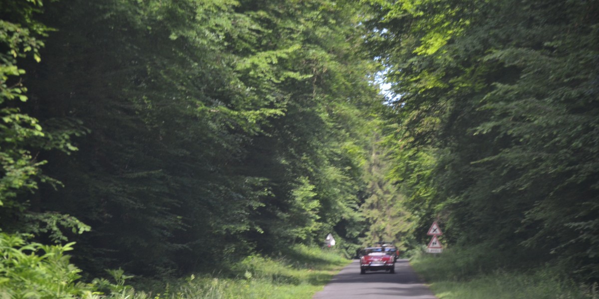 Rally Vosges 2017 (101)