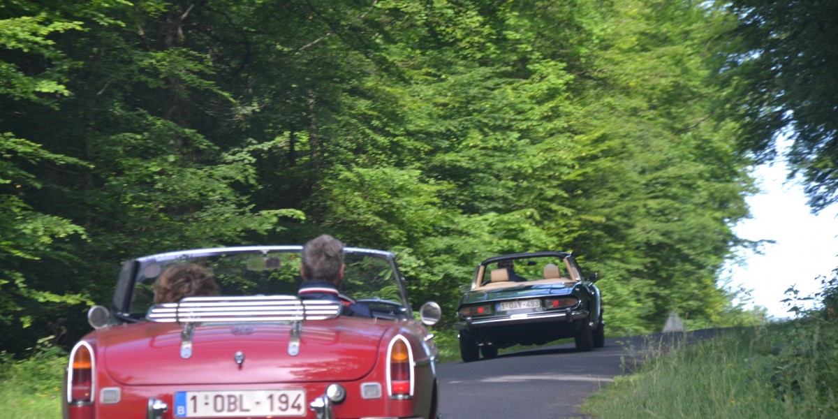 Rally Vosges 2017 (104)