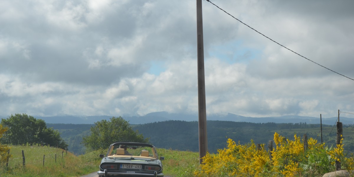 Rally Vosges 2017 (11)