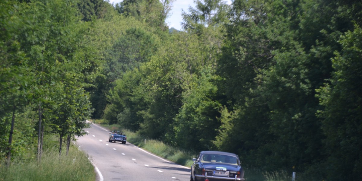 Rally Vosges 2017 (145)