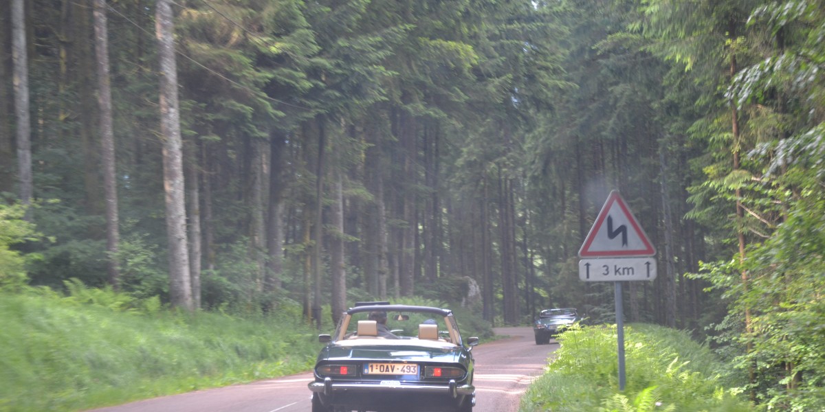 Rally Vosges 2017 (3)