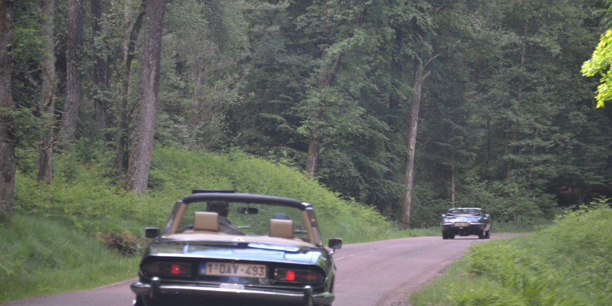 Rally Vosges 2017 (4)