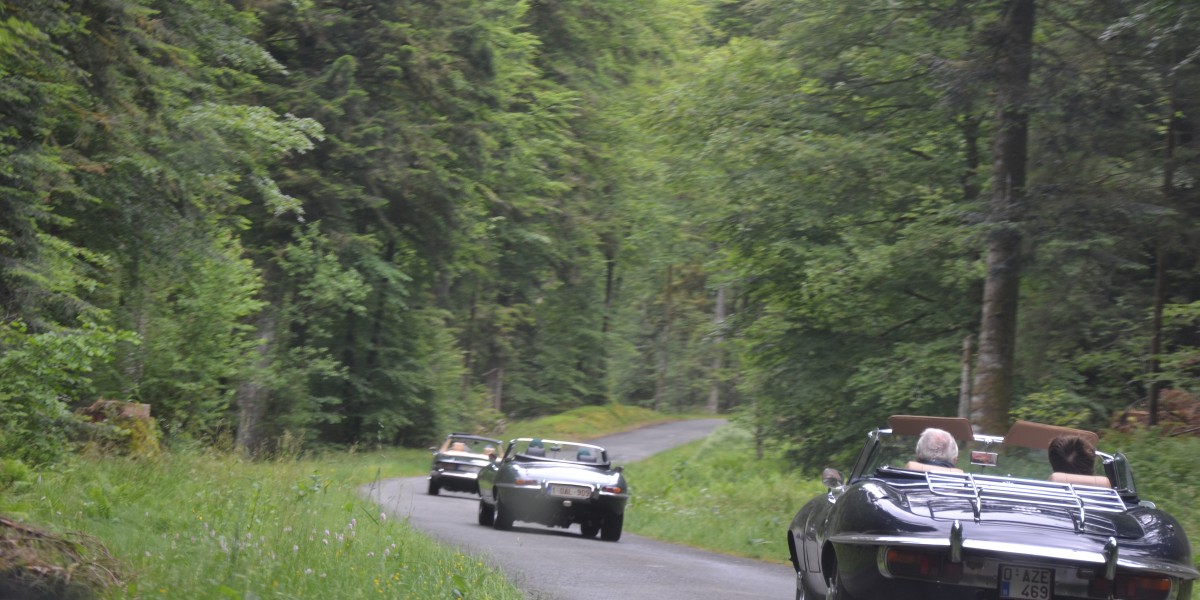 Rally Vosges 2017 (53)