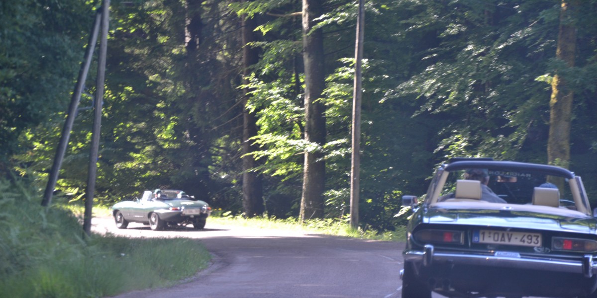 Rally Vosges 2017 (6)