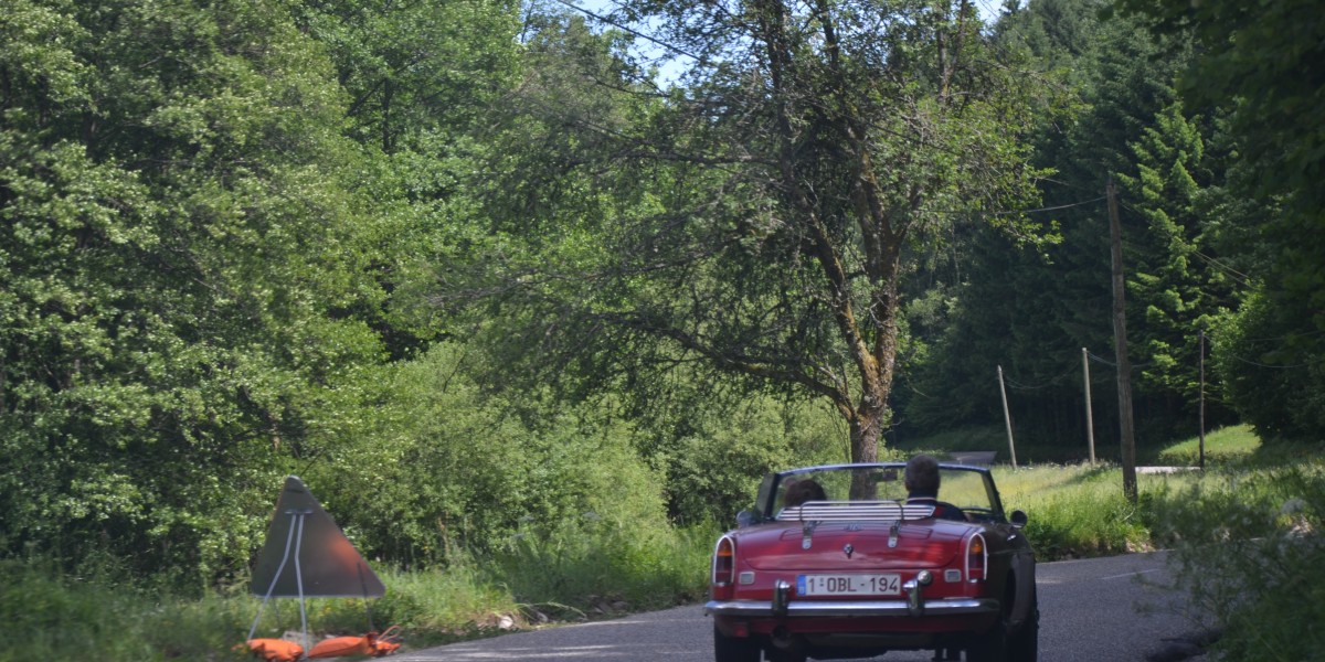 Rally Vosges 2017 (76)