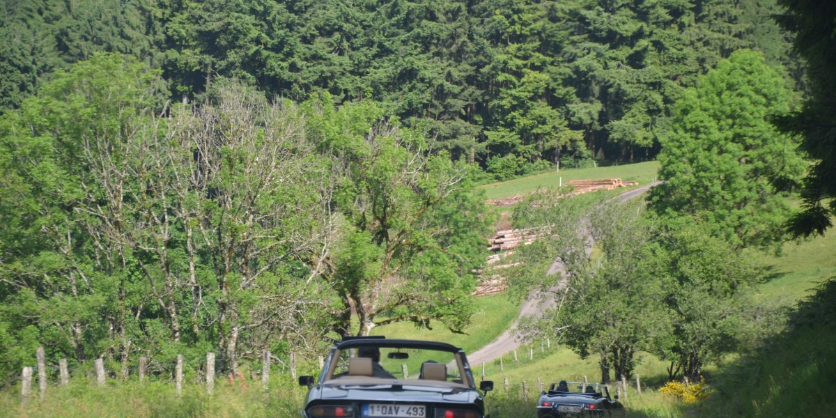 Rally Vosges 2017 (8)