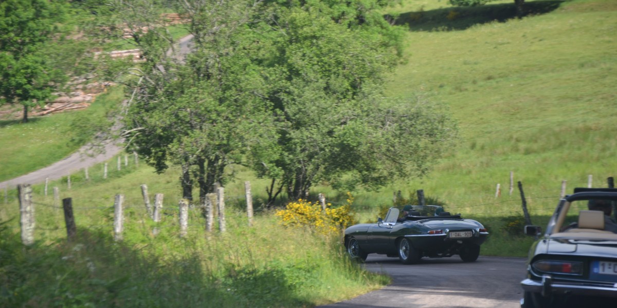 Rally Vosges 2017 (9)