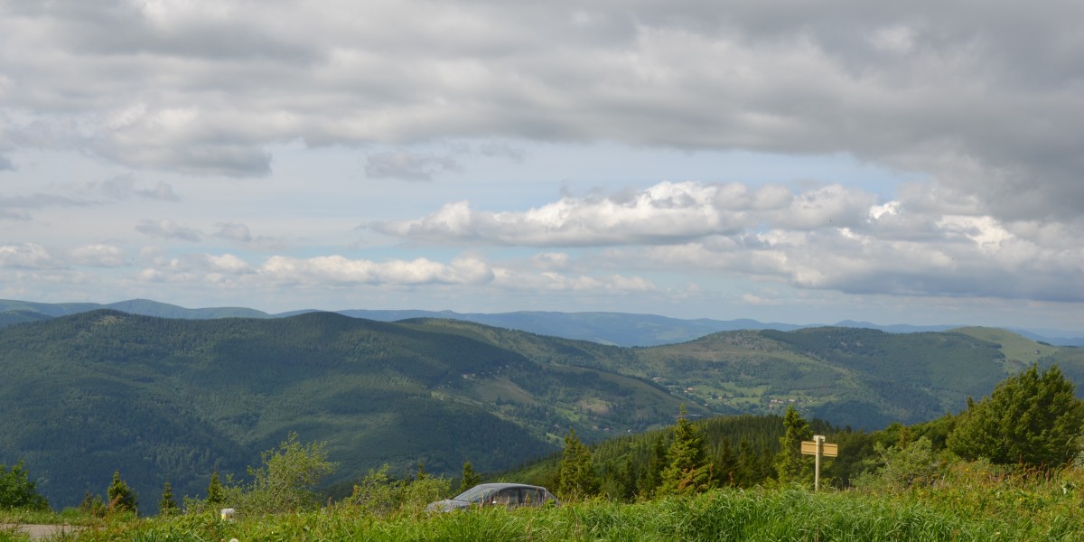 Rally Vosges 2017 (96)